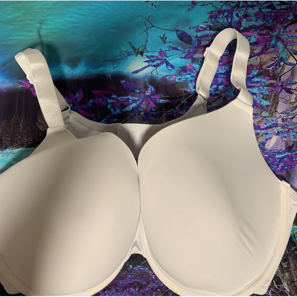 🎃SALE🎃Secret Treasures Plus Size 42D Bra